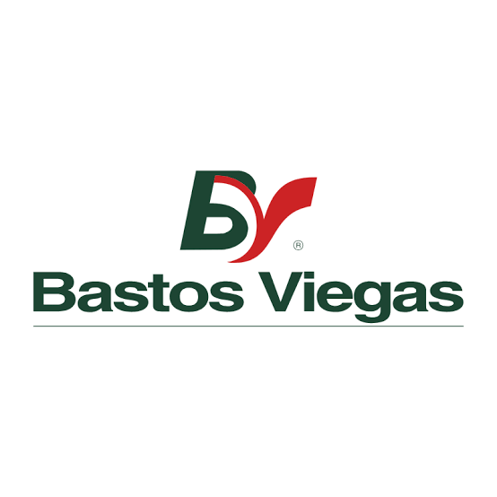 Bastos Viegas S.A.