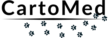 dynamic-logo